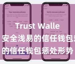 Trust Wallet Mac版 安全浅易的信任钱包惩处形势