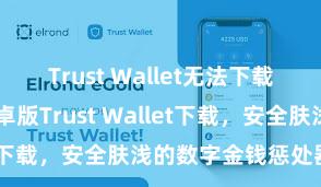 Trust Wallet无法下载解决方案 安卓版Trust Wallet下载，安全肤浅的数字金钱惩处器用!