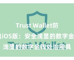 Trust Wallet防盗 信任钱包iOS版：安全浅显的数字金钱处治用具